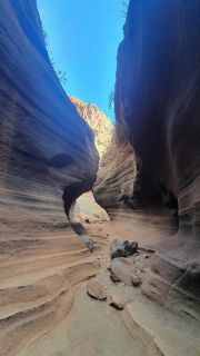 2022-02-GranCan-Barranco_Las_Vacas-PM-NN-27.jpg